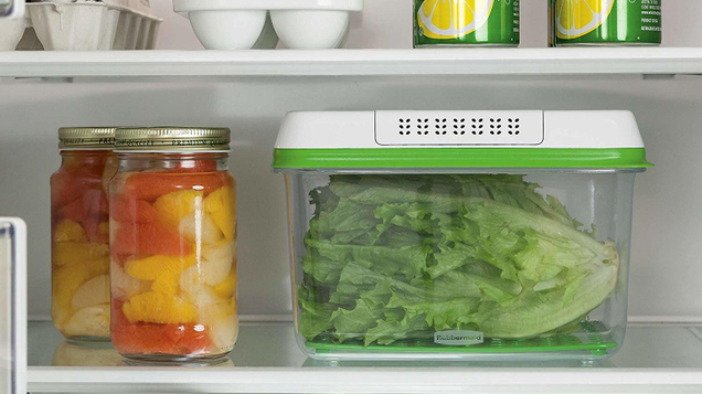 Rubbermaid FoodSaver Large Container | $8 | AmazonRubbermaid FoodSaver Medium Container | $6 | AmazonRubbermaid FoodSaver Small Container | $5 | Amazon